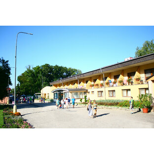 Hotel Thermal Varga ***